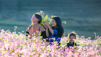 Khám phá du lịch Hà Giang độc đáo và trọn vẹn cùng Meditours