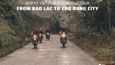 欧米人観光客向けに大型バイクでベトナム旅行を体験