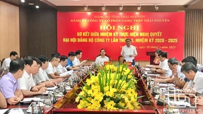 타이응우옌 철강공사 당위원회: 연대, 어려움 극복 노력