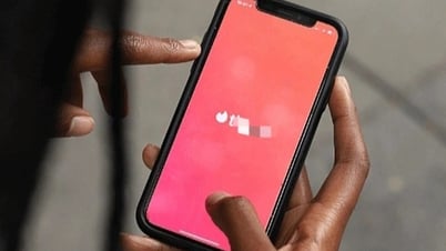 « Je pense être un poulet, mais en fait, je suis du riz », un étudiant tombe dans le piège de l'amour en ligne
