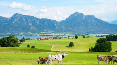 Top 3 Sommerreiseerlebnisse in Deutschland, die Sie ausprobieren können