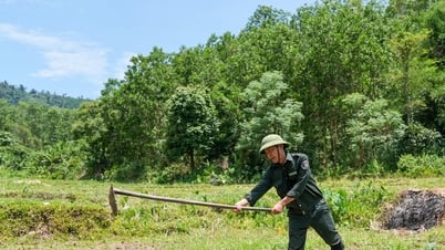 លោក Trung "សងបំណុលរបស់គាត់" ដល់ព្រៃបៃតង