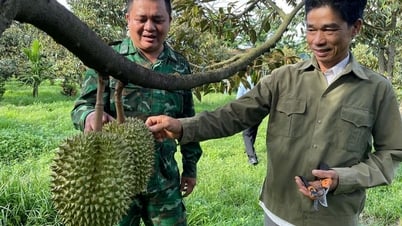 ទាហាននិងសុបិននៃទុរេននៅតាមព្រំដែន