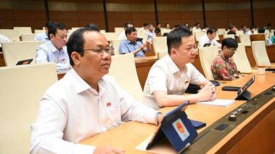 Quốc hội thông qua Luật Bảo vệ dữ liệu cá nhân, nhiều hành vi bị cấm, xử phạt nặng
