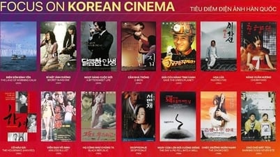 ダナンアジア映画祭で韓国の大ヒット映画を無料で鑑賞