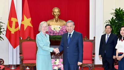 [Foto] El Secretario General To Lam recibe a la Embajadora de Australia en Vietnam, Gillian Bird