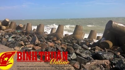 Binh Thuan អនុម័តផែនការប្រើប្រាស់ដី 2025 របស់ស្រុក Phu Quy