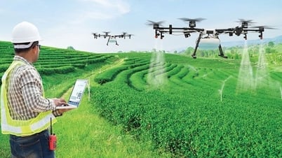 Die landesweite ländliche und landwirtschaftliche Volkszählung 2025 findet ab dem 1. Juli statt.