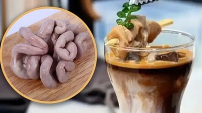 Cà phê lòng heo: Thảm họa ẩm thực, thuốc xổ