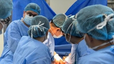 Tin mới y tế ngày 26/6: Xuyên đêm hồi sinh sự sống từ lá gan hiến tặng