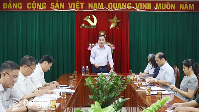 El distrito de Thong Nhat es la primera localidad en presentar documentos para ajustar la planificación del uso del suelo hasta 2030.
