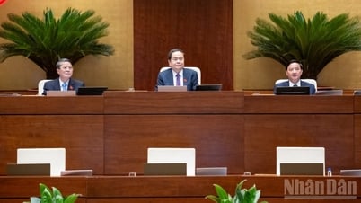 Quốc hội thống nhất tiếp tục miễn thuế sử dụng đất nông nghiệp đến hết năm 2030