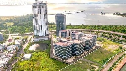 تسعى مدينة دا نانغ إلى تحقيق اختراقات من خلال نماذج التنمية الجديدة
