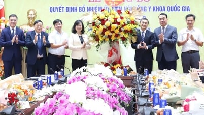 Từ 2027: Đánh giá năng lực khi cấp chứng chỉ hành nghề bác sĩ