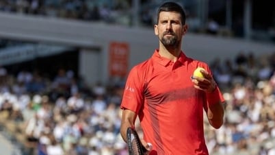Djokovic chờ san bằng kỷ lục của Federer tại Wimbledon