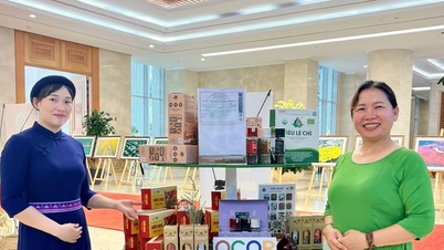 Gia Lai có thêm 5 sản phẩm OCOP 5 sao