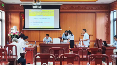 Shocked by the auction price of sand mines in Quang Nam: From 1.8 billion to more than 138 billion VND
