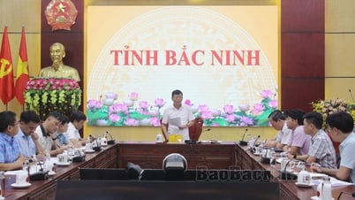 កិច្ចប្រជុំអនឡាញស្តីពីស្ថានភាពអនុវត្តគម្រោងផ្លូវដែក Lao Cai - Hanoi - Hai Phong