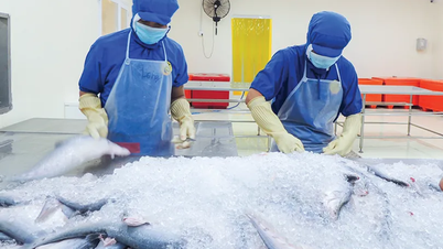 Cai Rang: Improving investment environment, supporting businesses to overcome difficulties