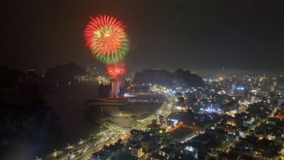 광닌성은 7월 1일 저녁 2개 레벨의 지방 행정부를 환영하는 예술적인 불꽃놀이를 개최할 예정입니다.