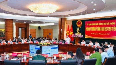 Hai Phong: La recaudación presupuestaria logró resultados positivos en el primer semestre del año.
