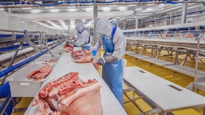 Masan MEATLife resuelve gradualmente los problemas a largo plazo con un modelo de integración cerrado