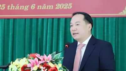 Genosse Ho Xuan Truong nahm an der Konferenz teil, um die Arbeit der Kader im Bezirk Krong No bekannt zu geben.