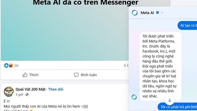AI Meta របស់វៀតណាមត្រូវបានដាក់បញ្ចូលទៅក្នុងកម្មវិធី Messenger