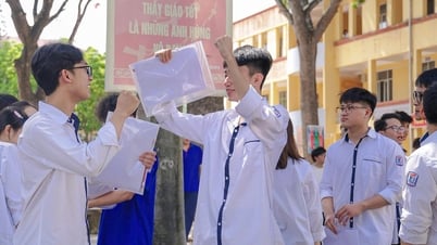 고도로 차별화된 선택과목에 대한 시험 문제