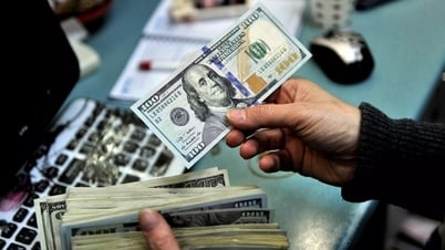 Курсы валют, курс USD/VND на сегодня 27 июня: доллар США «резко падает», сильная волна распродаж