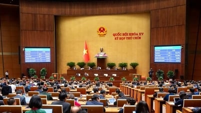 국립은행은 연 0%의 이자율로 특별대출을 제공하기로 결정할 수 있습니다.