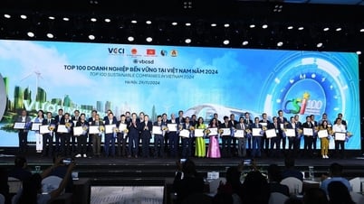 CSI 2025 tìm kiếm 100 doanh nghiệp bền vững tại Việt Nam với nhiều điểm mới