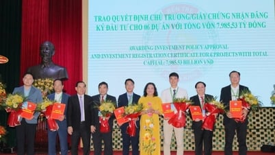 Bến Tre nỗ lực thu hút vốn đầu tư nước ngoài và thúc đẩy xuất khẩu