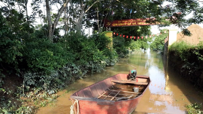 Prime Minister requests proactive response to heavy rains in the North in the coming days