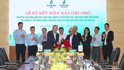 وقعت شركة BSR وشركة PV Gas D مذكرة تفاهم بشأن مبادئ تداول الغاز الطبيعي المسال