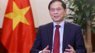 Vietnam bringt den Unternehmergeist einer neuen Ära nach TianjinVietnam bringt den Unternehmergeist einer neuen Ära nach Tianjin