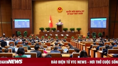 Quốc hội chốt loạt chính sách, khuyến khích doanh nghiệp tư nhân làm đường sắt