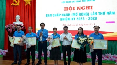 The 5th Conference of the Provincial Labor Federation Executive Committee, term XI, 2023 - 2028