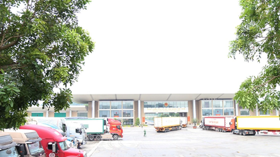 Lao Cai: Import- und Exportwert im Vergleich zum Plan gesunken