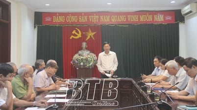 Thai Binh City: Treffen mit Fachorganisationen und professionellen Sozialverbänden