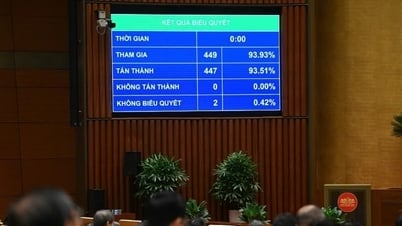 La Asamblea Nacional acordó establecer la Zona de Libre Comercio de Hai Phong.
