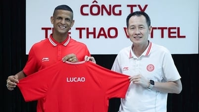 Der „Sommermarkt“ der V.League spaltet das Vereinspotenzial