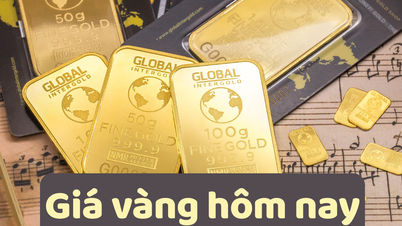 Gold price today June 27, 2025: Domestic gold price is 11 million VND higher than world gold price