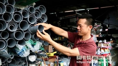 លោក Toan ពូកែខាងសេដ្ឋកិច្ច។