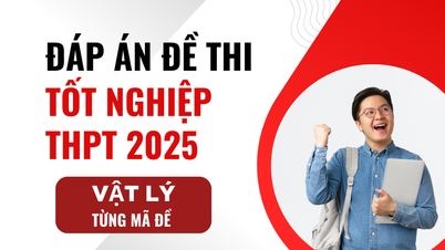 Đáp án môn Vật Lý mã đề 0222 thi tốt nghiệp THPT 2025