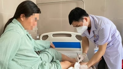 Un hospital recibió 20 pacientes mordidos por perros en 1 mes.