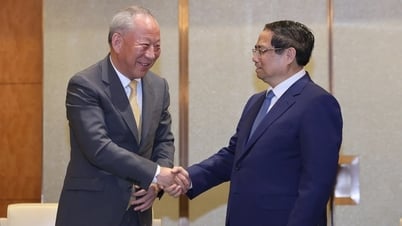 Tập đoàn Trung Quốc thi công cầu Tứ Liên muốn triển khai thêm nhiều dự án
