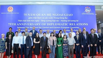 Mối quan hệ Việt Nam và các nước Trung - Đông Âu vượt...