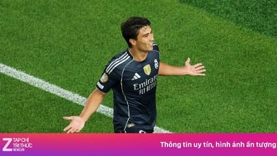 La découverte intéressante du Real Madrid