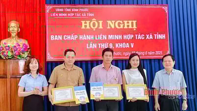 Kinh tế hợp tác tiếp tục khởi sắc, tạo nền tảng bứt phá 